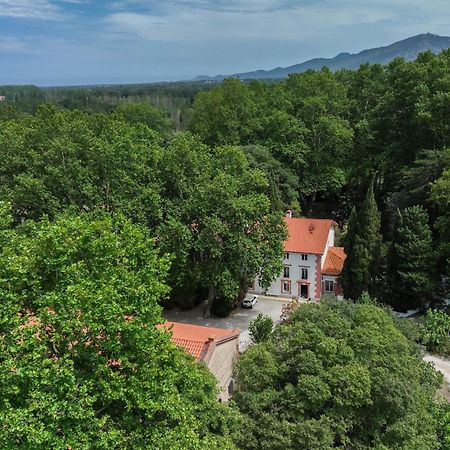 Gites Du Castell De Bles Saint-Genis-des-Fontaines Ngoại thất bức ảnh