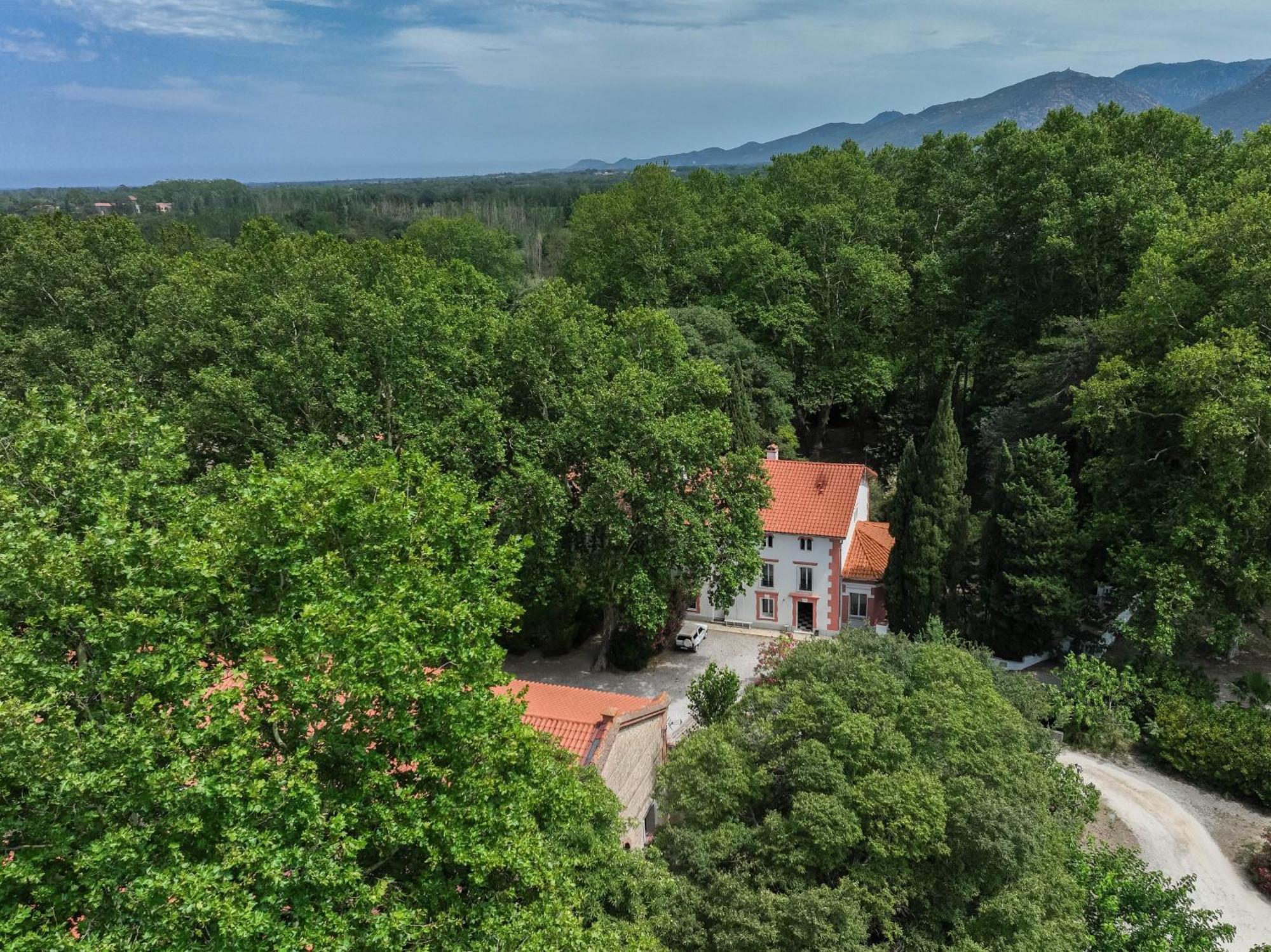 Gites Du Castell De Bles Saint-Genis-des-Fontaines Ngoại thất bức ảnh